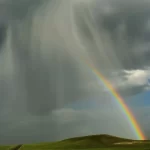 orange_county_psychologist