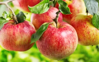 relationship_help_advice