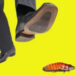 anxiety therapy in Orange County