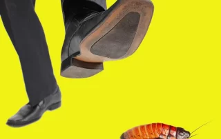 anxiety therapy in Orange County